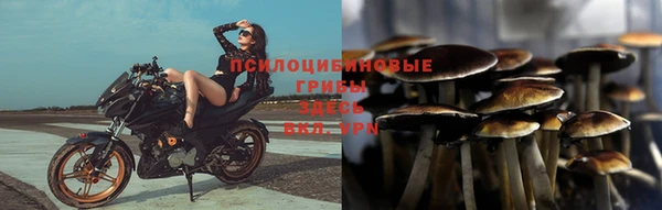 шишки Михайловск
