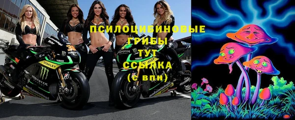 2c-b Надым