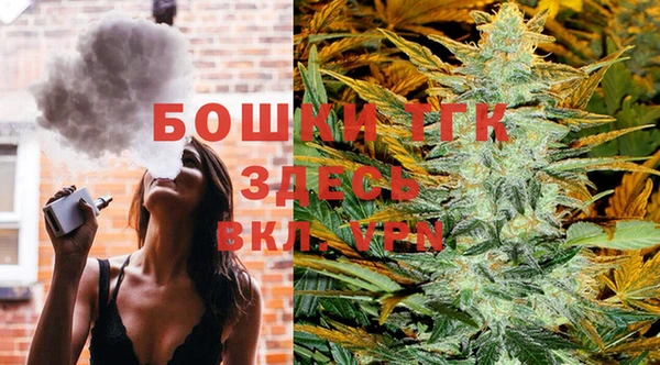 2c-b Надым