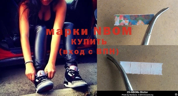 шишки Михайловск