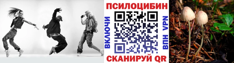 купить   Лермонтов  дарк нет какой сайт  Псилоцибиновые грибы Psilocybe 