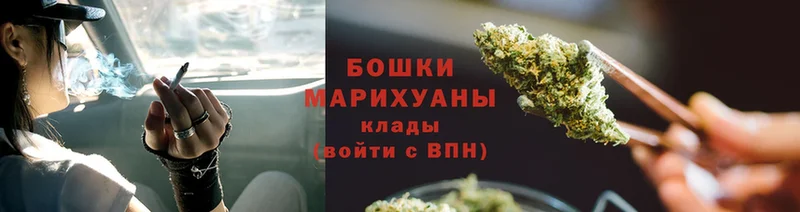 omg ссылки  Лермонтов  Бошки марихуана SATIVA & INDICA 